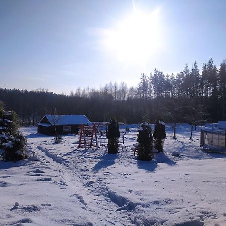 Brivdienu Maja Skerskani Krāslava المظهر الخارجي الصورة